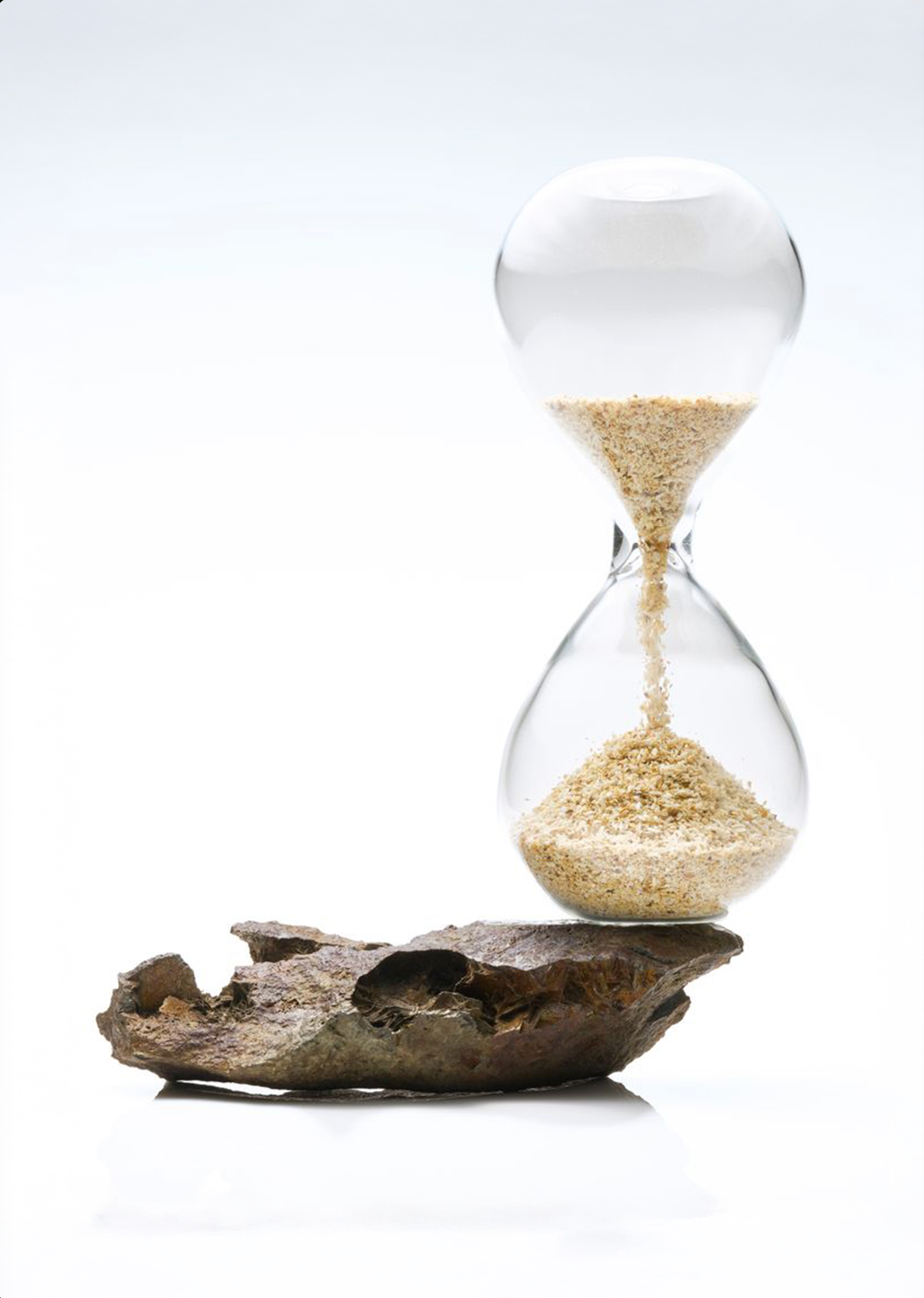 Postcard (Moeko Suzuki)