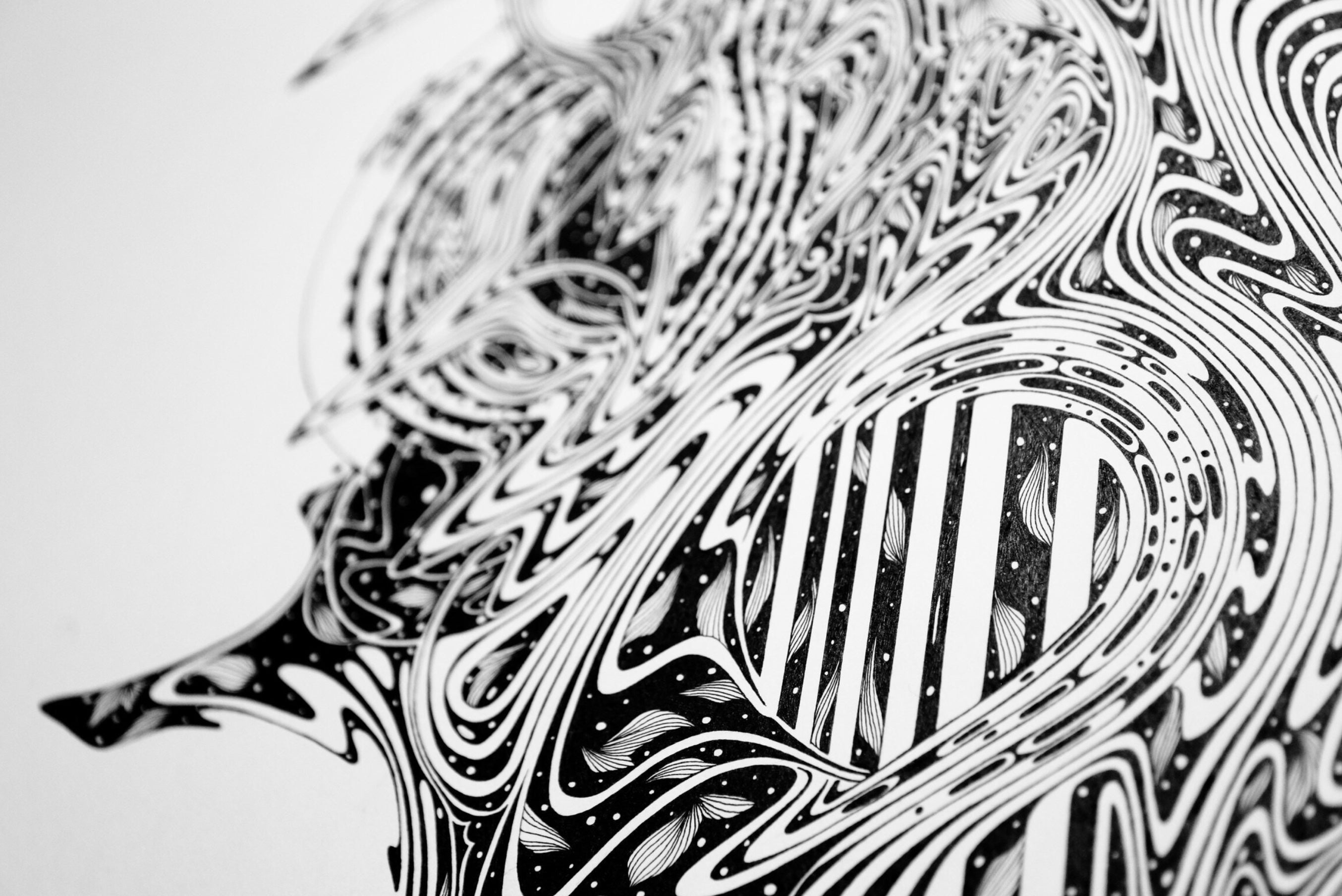 An interview with Iwazaki san