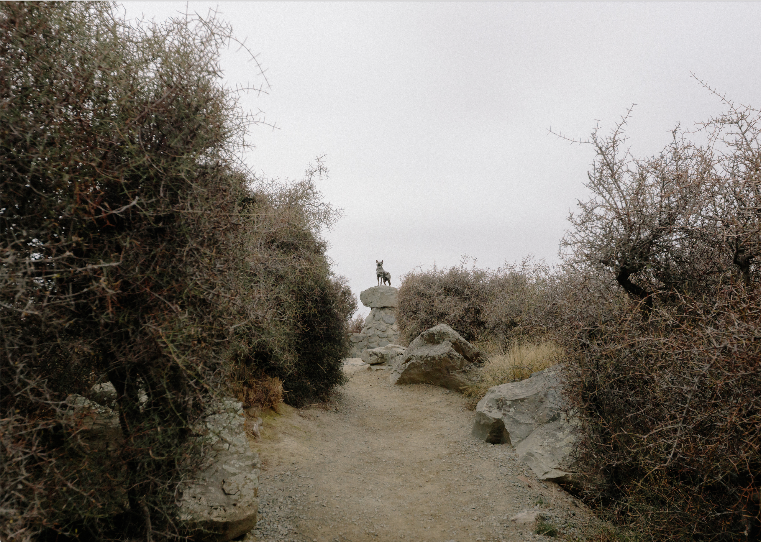 Postcard (Tatsuki Katayama)