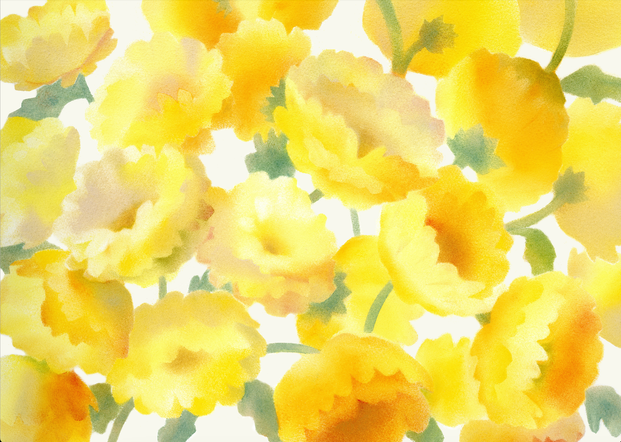 Postcard (Tomoko Mizuno)