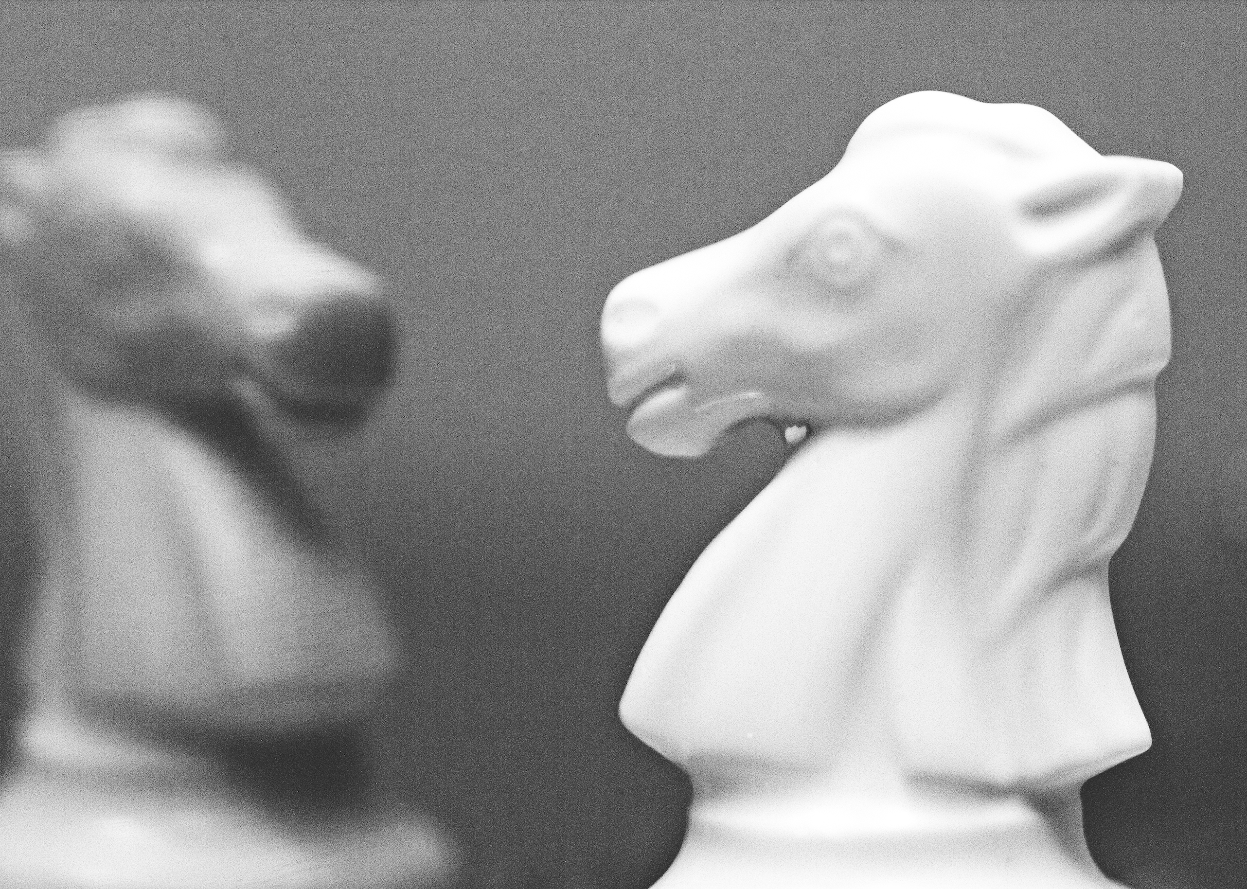 Postcard (Yuma McCracken Nishimura)